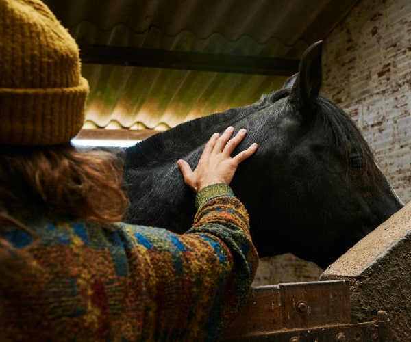 Man affectionately touching his pet horse