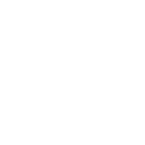 Debit card icon