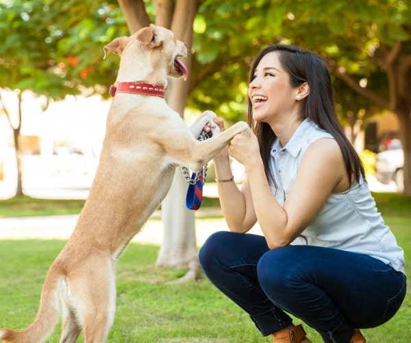 Happy girl with her pet dog in park