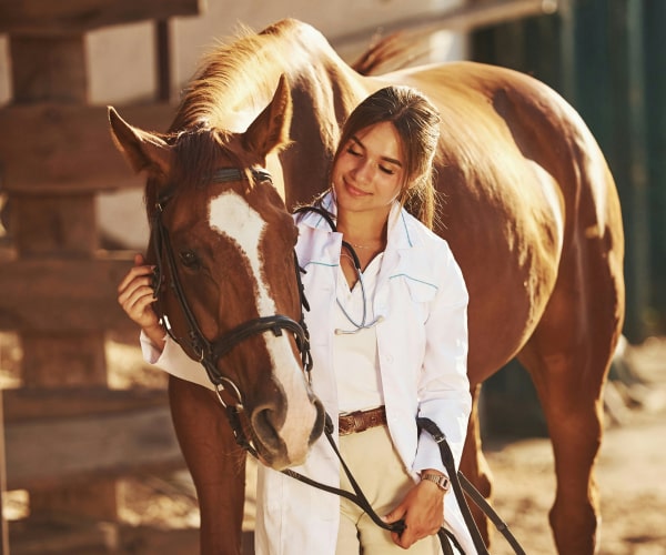 Horse with the doctor