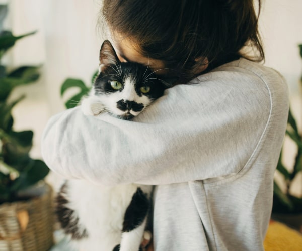 Women hugging her pet cat with affection