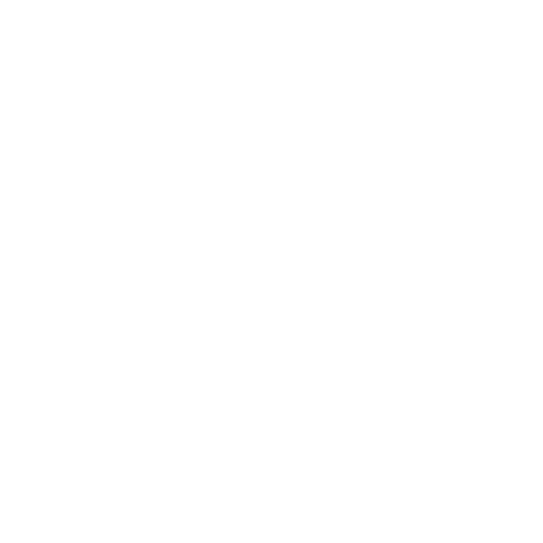 treatment plan