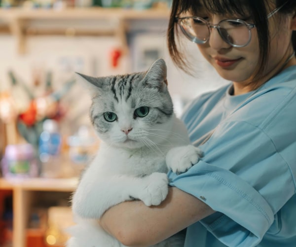 Doctor with pet cat