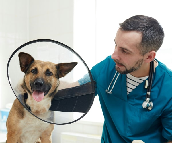 Doctor with pet dog