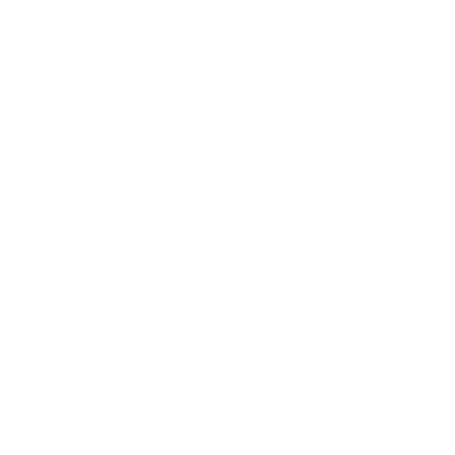 senior pet care