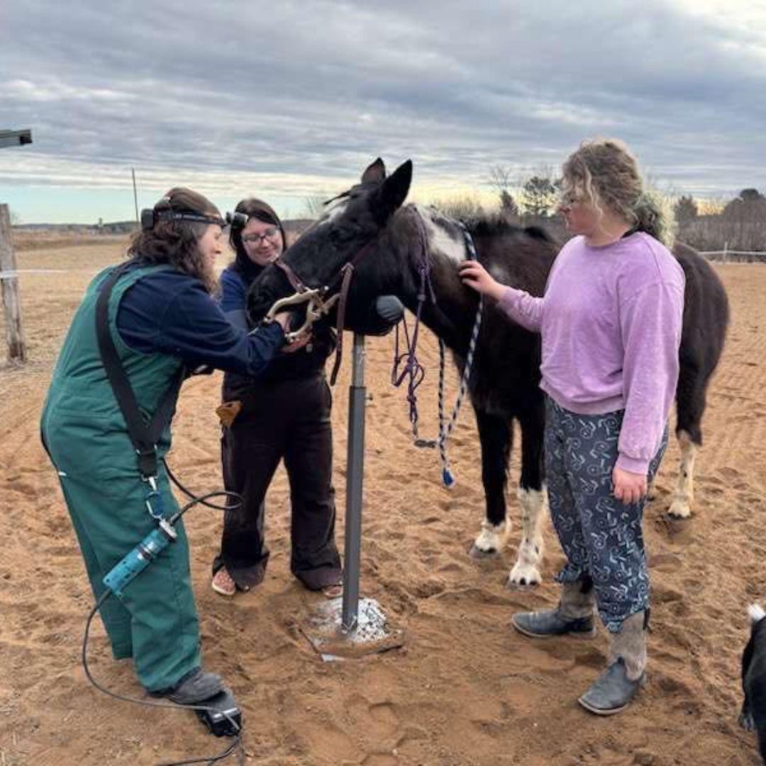 Dr, Tourville holding a pet dog in her hands