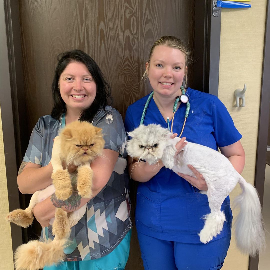 Dr. Enochs with black pet dog