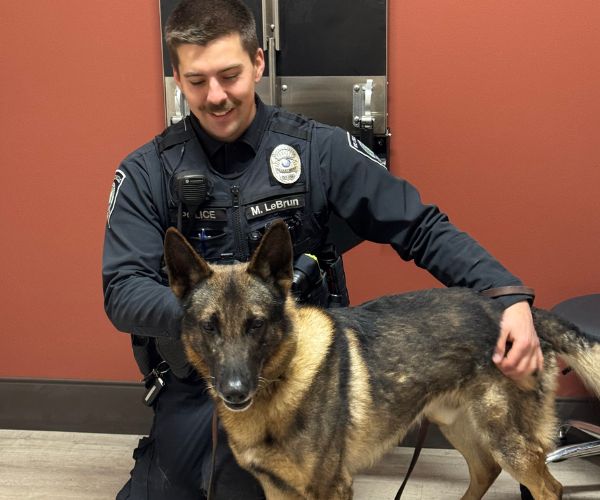 About page (1) cat looking out window