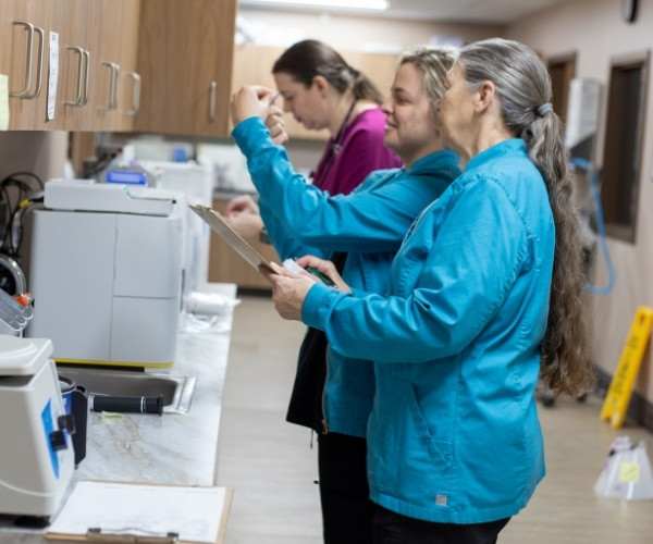 diagnostic testing-2 Doctor checking pet dog and explaining to the owner
