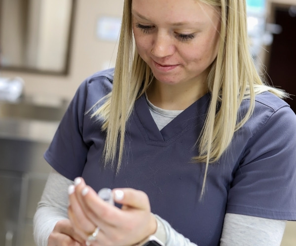 diagnostic testing-3 vet with cat