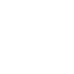 medication icon
