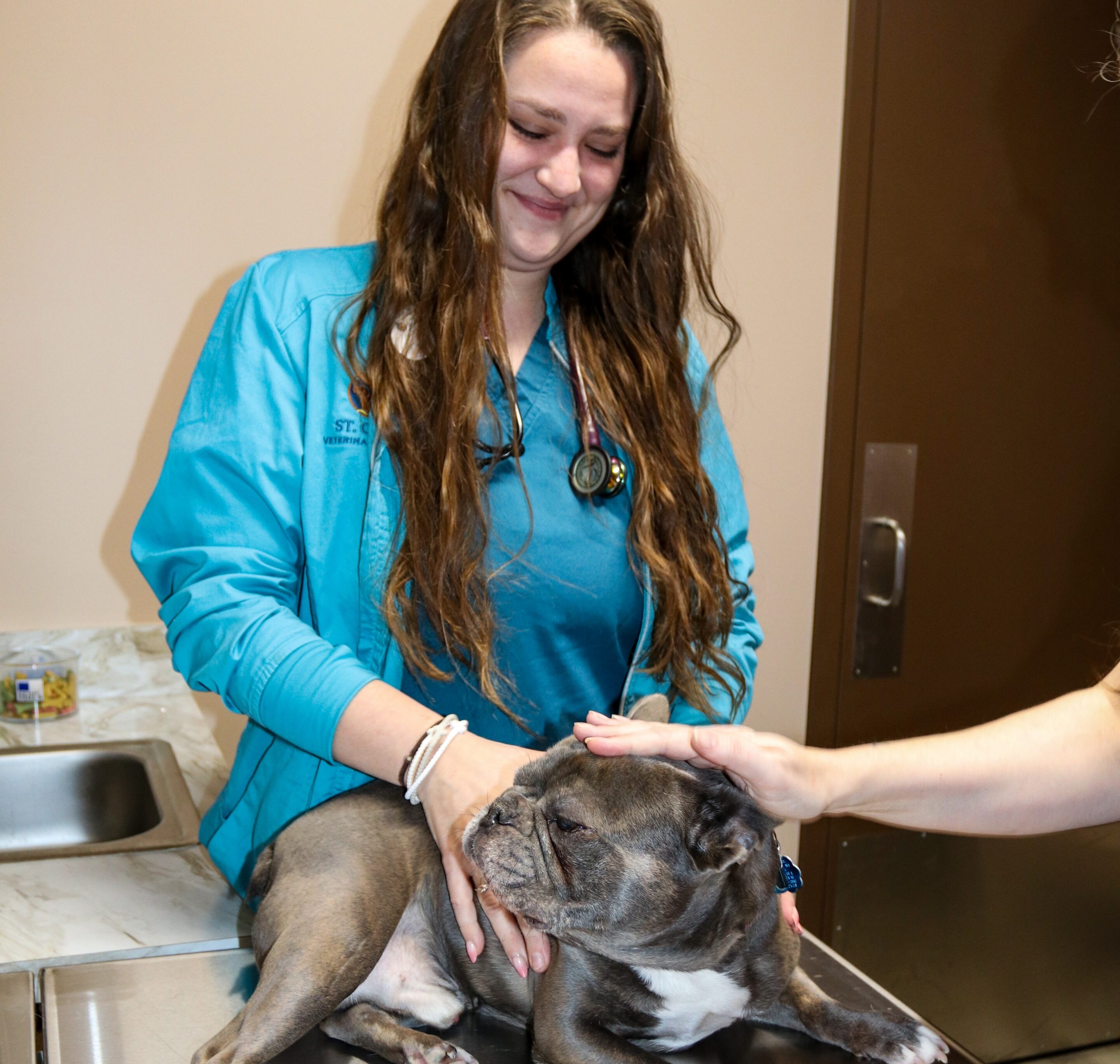vet examines a dog Doctor with pet dog